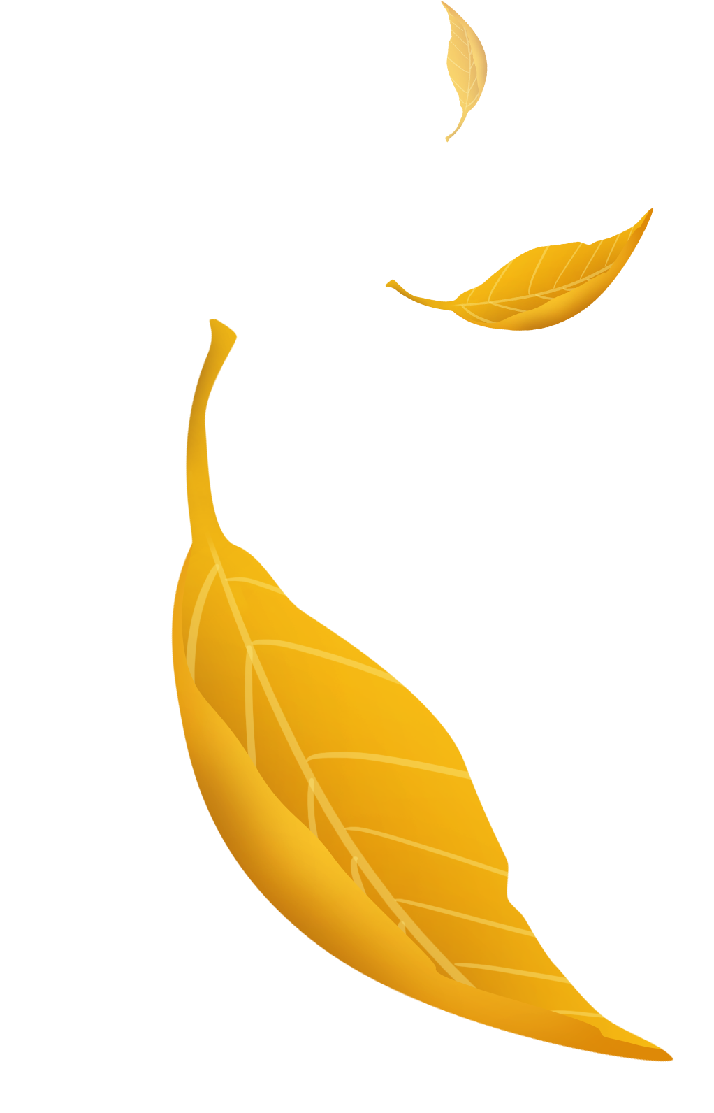 5b377a2f7fba0.png